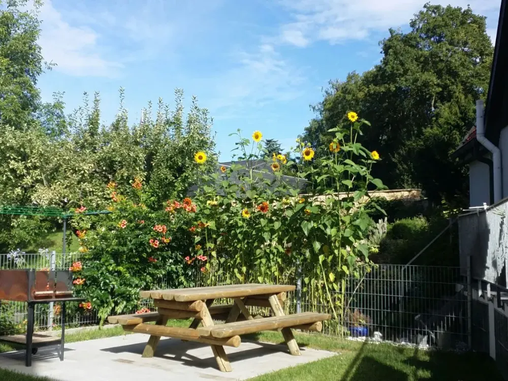 Möbliertes 1-Zimmer-Appartment mit Terrasse