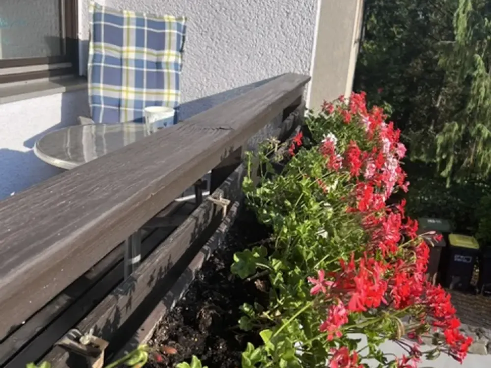 First occupancy after complete renovation in beautiful 2.5-room apartment in Ludwigsburg