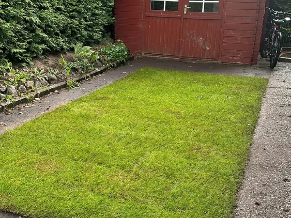 Charmante 2-Zimmer-Wohnung mit Garten in Lemsahl-Mellingstedt