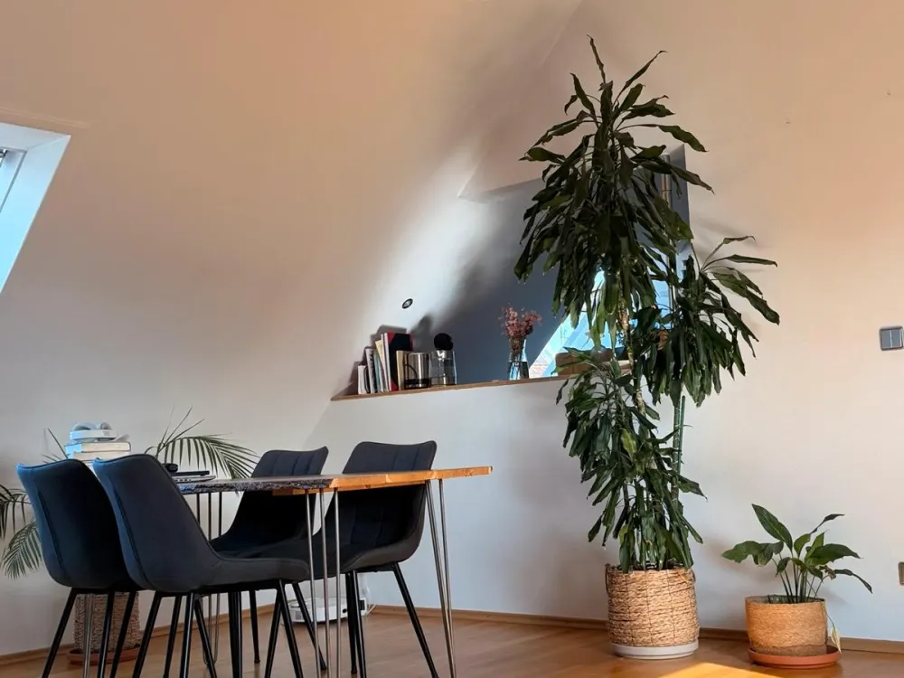 Schöne Wohnung zur Untermiete in Köln