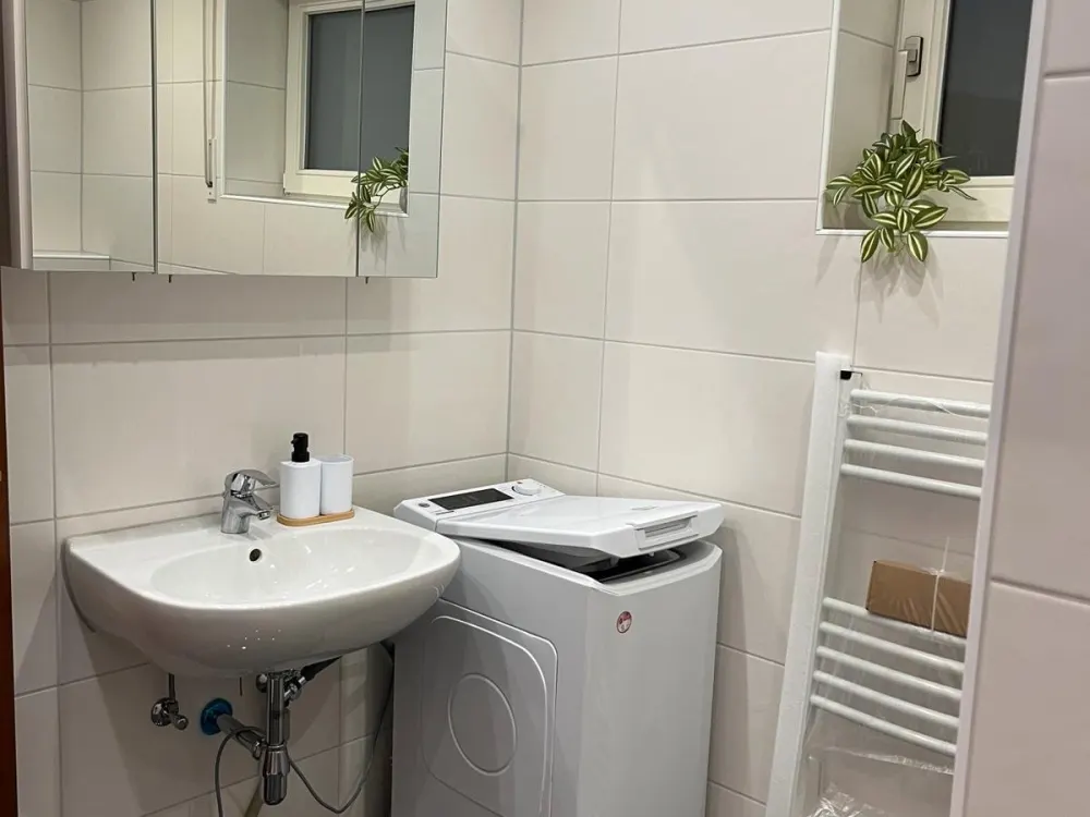 2-Zimmer, möbliert, frisch renoviert, Tageslichtbad