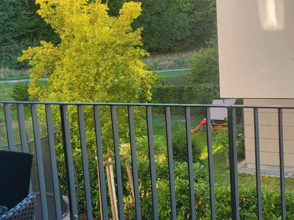 Nachmieter für wünderschöne 2, 5 Zimmer Wohnung in Neuhausen auf