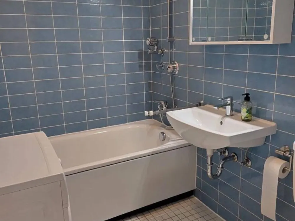 1.5-Room Apartment with Balcony - Available Immediately