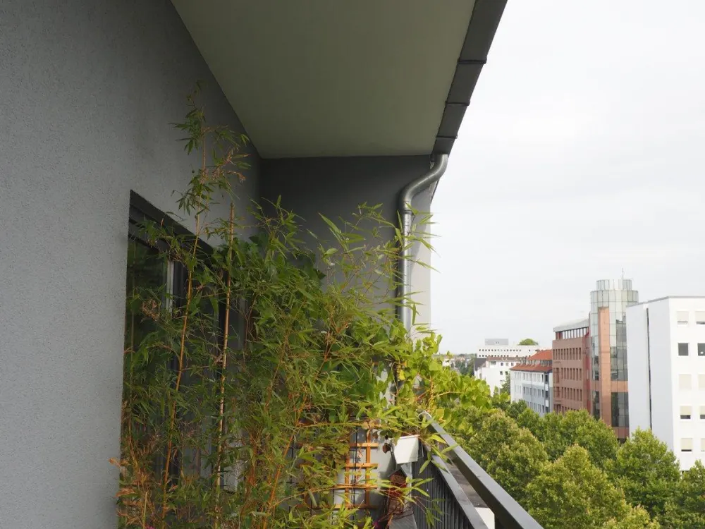 3-Zimmer Wohnung mit Balkon in der Dortmunder Innenstadt!