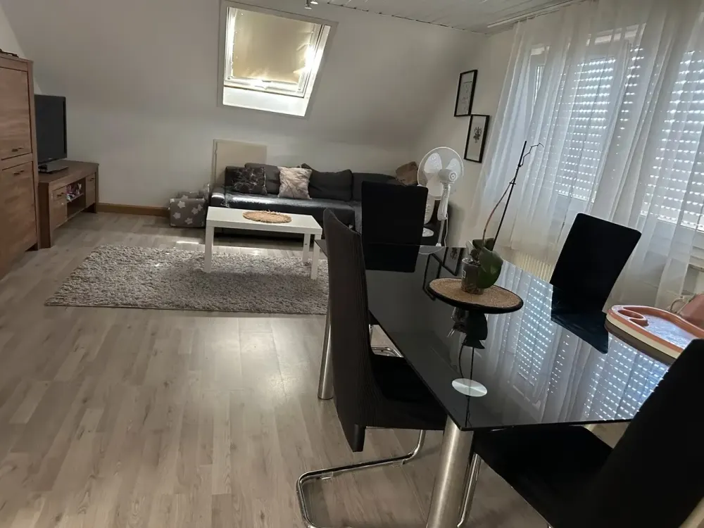 Lively Living: 3-Room Attic Apartment in Wendlingen