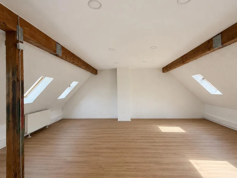 saniertes Loft mit 2 Zimmern, Erstbezug nach Sanierung