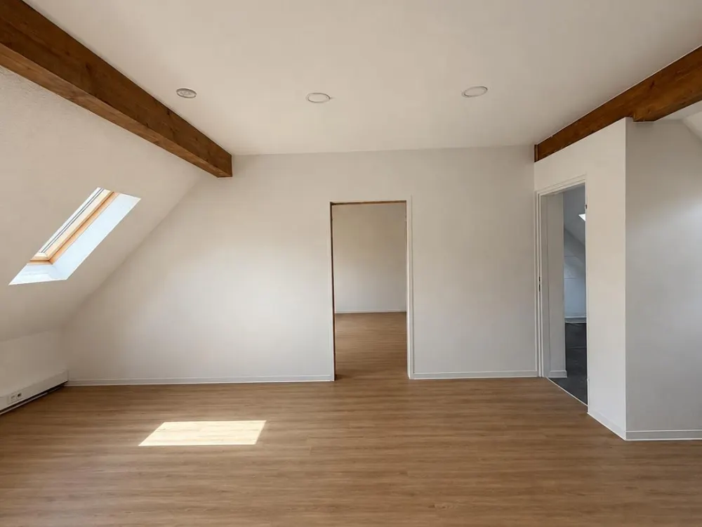 saniertes Loft mit 2 Zimmern, Erstbezug nach Sanierung