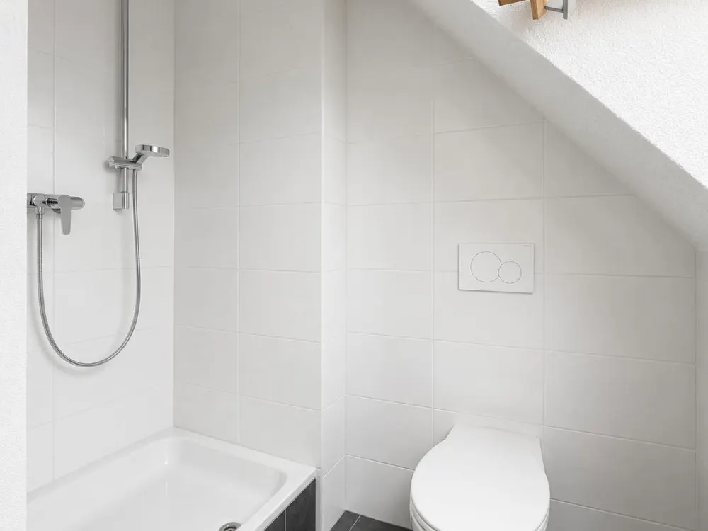 saniertes Loft mit 2 Zimmern, Erstbezug nach Sanierung