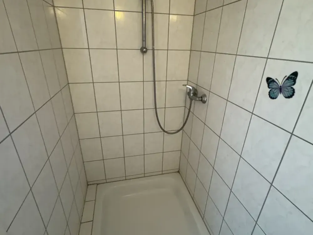 Möbliertes 1-Zimmer-Apartment in Raunheim