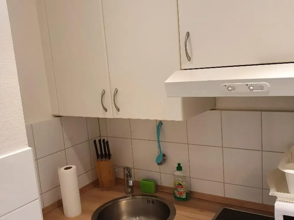 Furnished 1-Room Apartment in Hamburg Winterhude, Central, from 01.09.2026