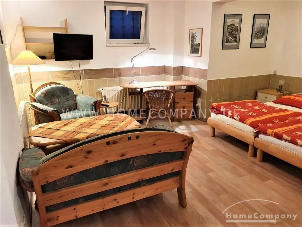 12302 HomeCompany Dresden Möbliert/Furnished Studio Souterrain Apartment in Dresden-Strehlen max. 2 Personen