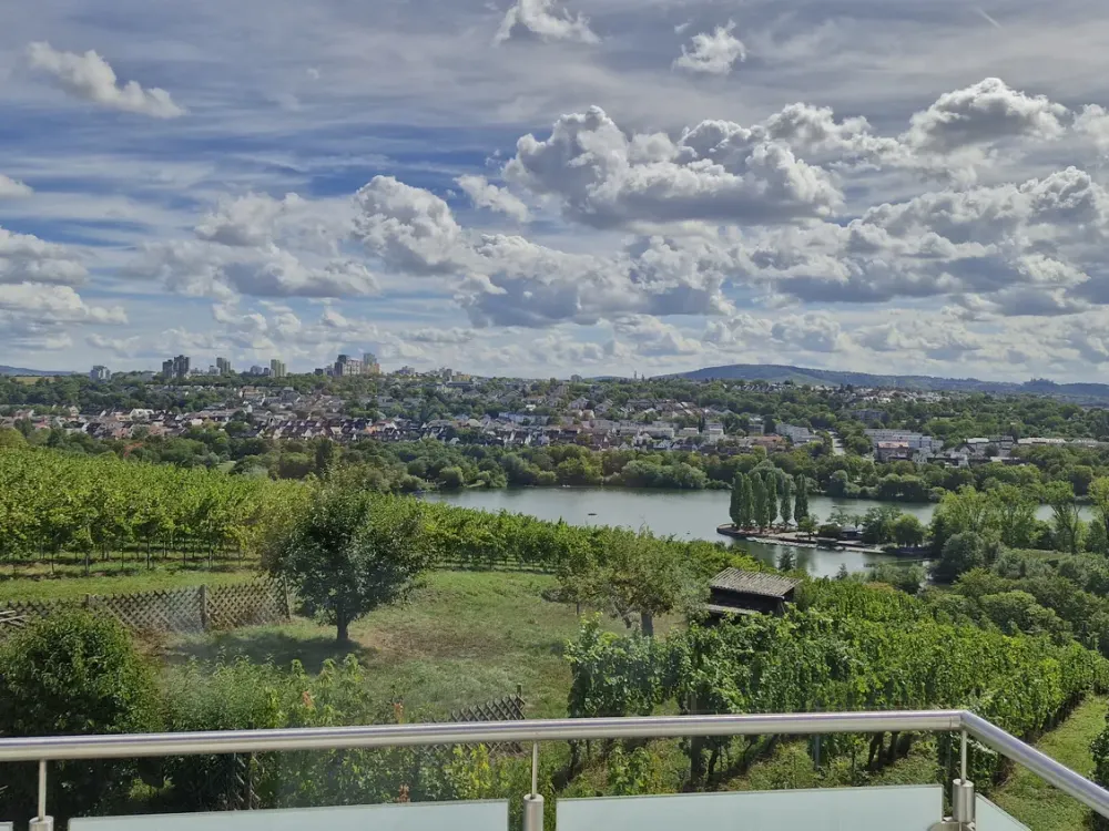 5-Zi-Wo in 2-FH in S-Freiberg- direkt an den Weinbergen mit Blick auf den Max-Eyth-See