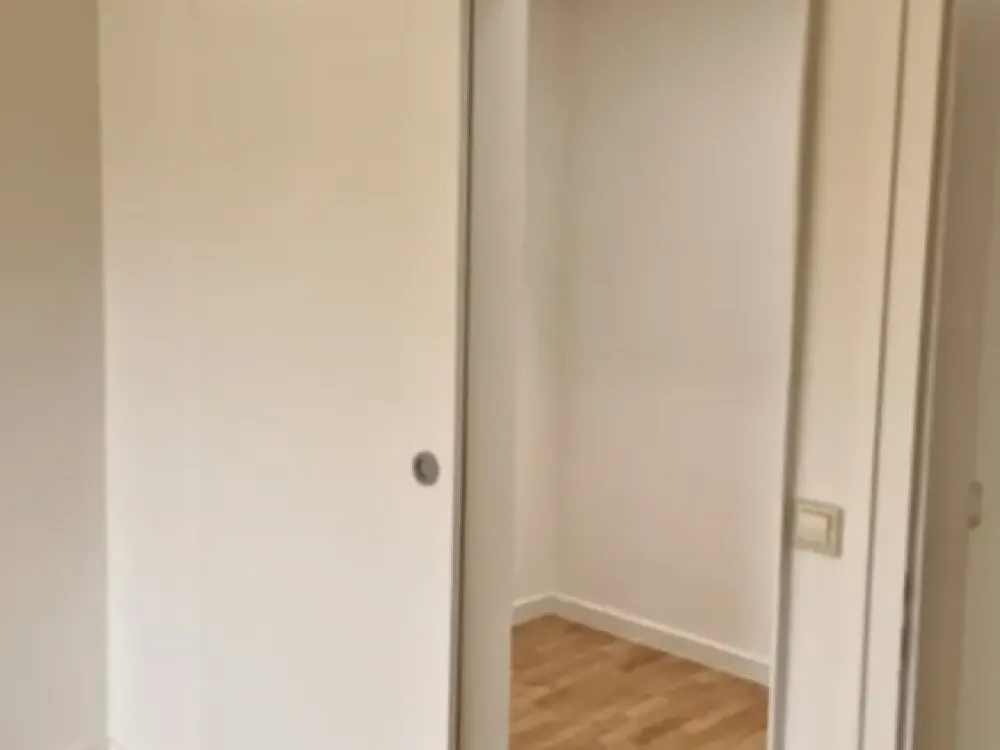 5-Zi-Wo in 2-FH in S-Freiberg- direkt an den Weinbergen mit Blick auf den Max-Eyth-See
