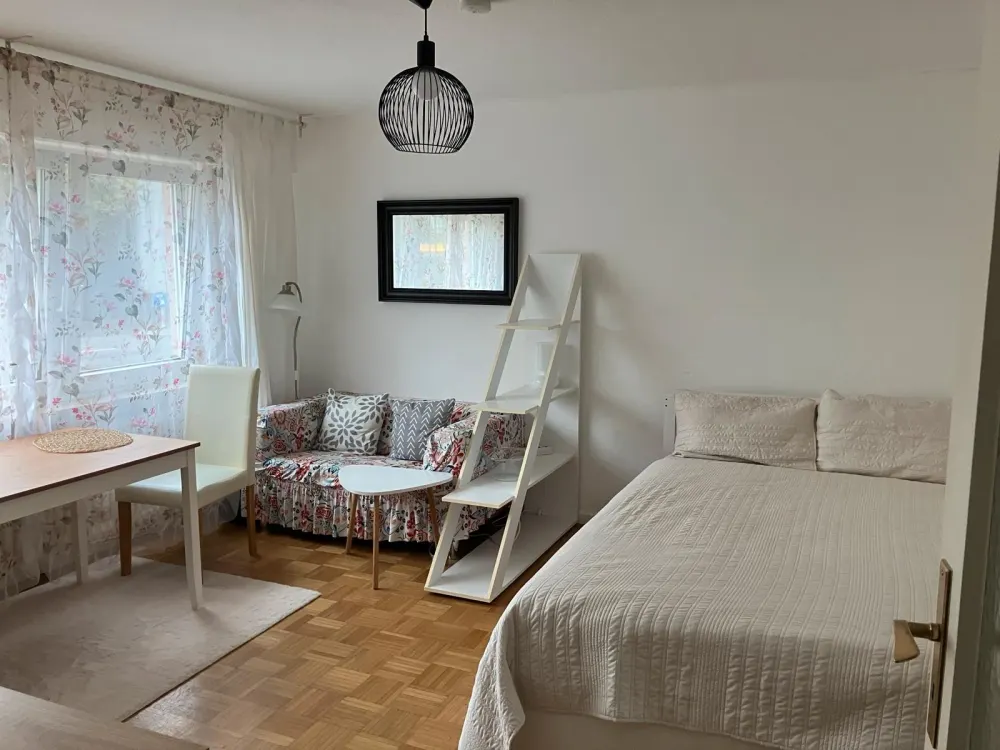 Frei ab 1.11.26! Möbliertes 1-Zi Appartement