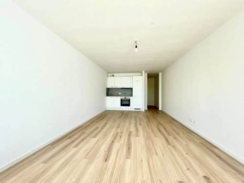 Renovierte 1-Zimmer-Wohnung mit Terrasse und TG-Doppelparker