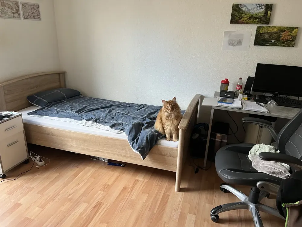 Bright and Friendly 3-Room Apartment on the 1st Floor for Rent