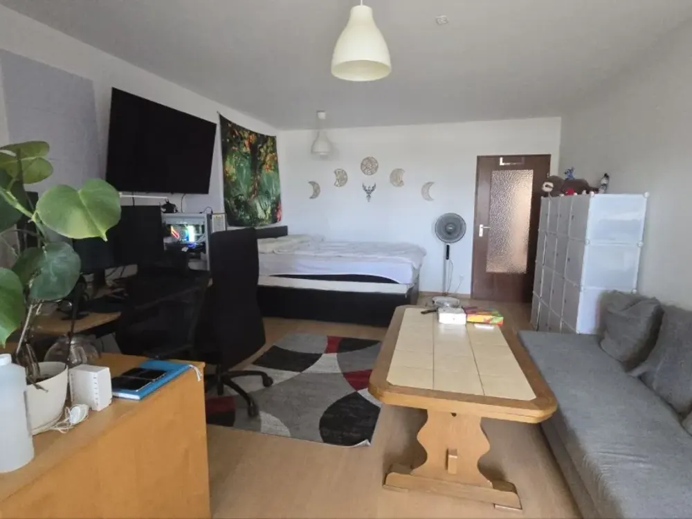 1-Zimmer-Wohnung in der Nähe des Erlangener Hauptbahnhofs für 3 Monate zur Untervermietung