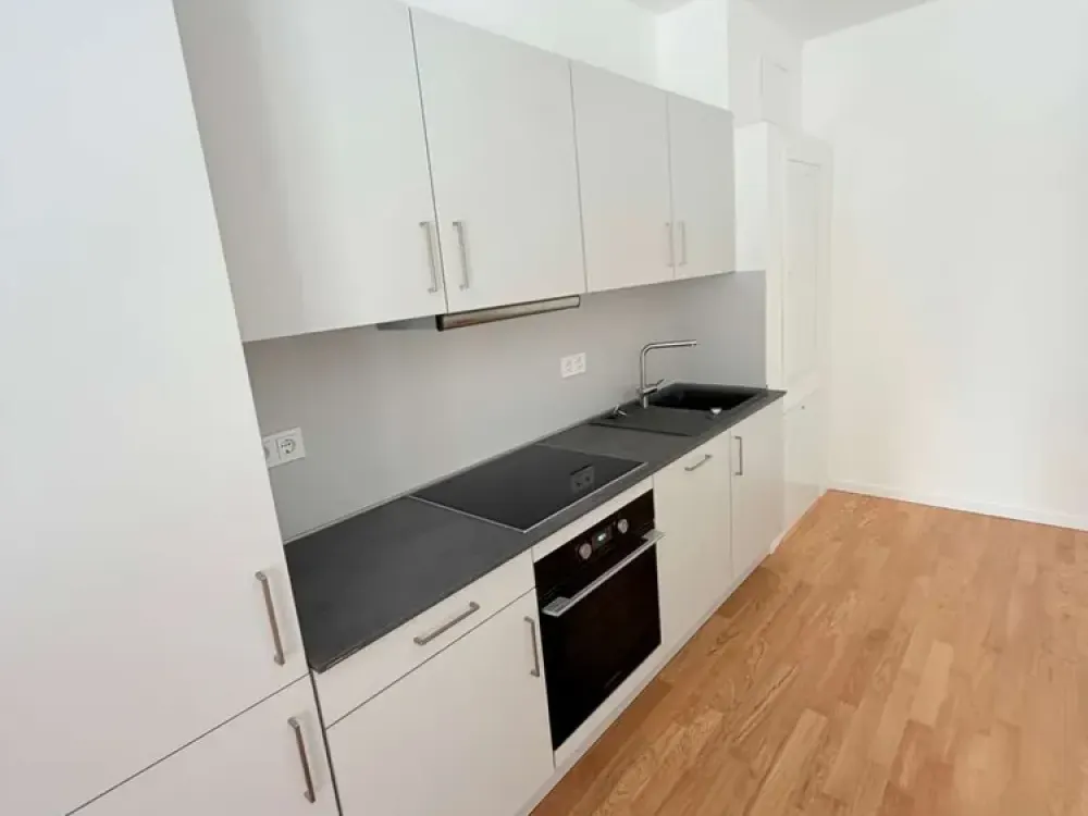 3,5 Zimmer - Sheddach Höfe