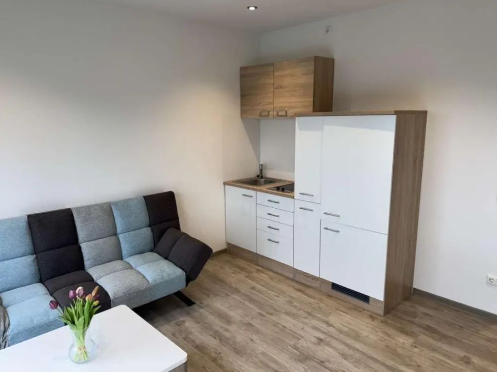 Modernes 1-Zimmer-Apartment- Nachmieter gesucht