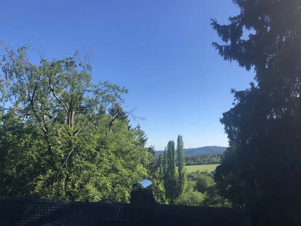Naturnahe 4-Zimmer-DG-Wohnung mit Fernblick ins Grüne