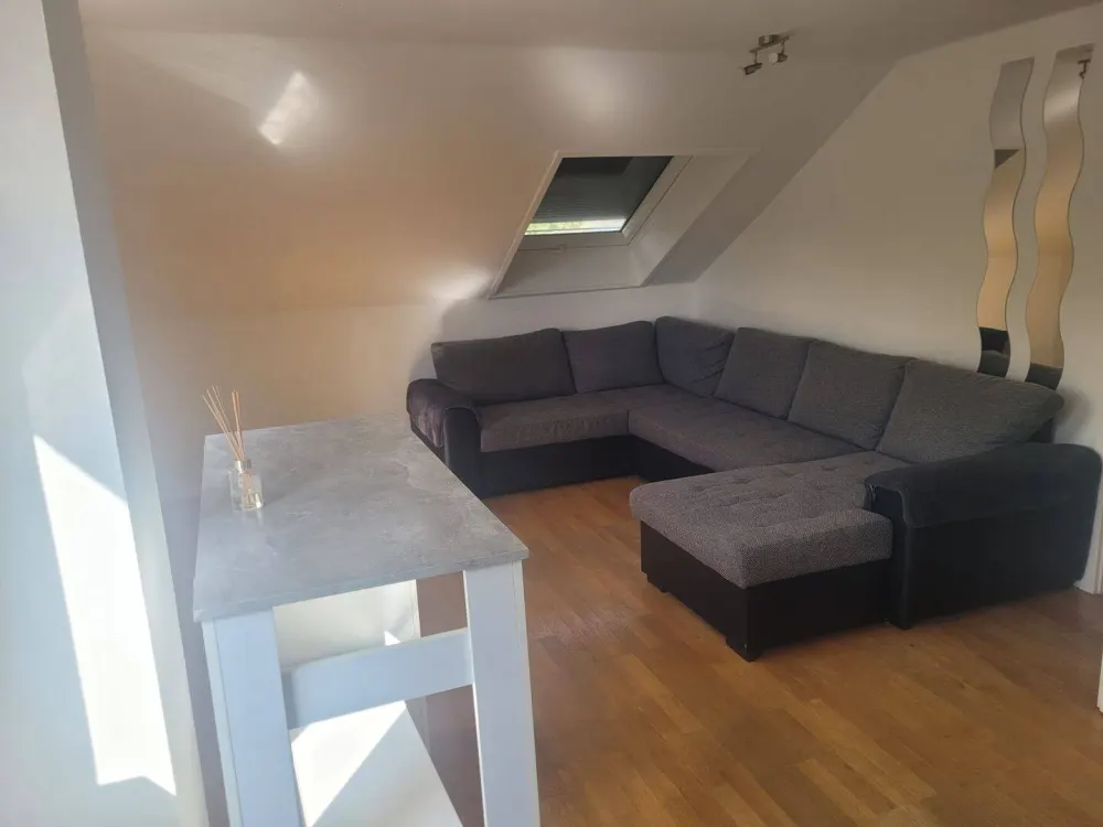 1,5 Zimmer Wohnung Blumenau