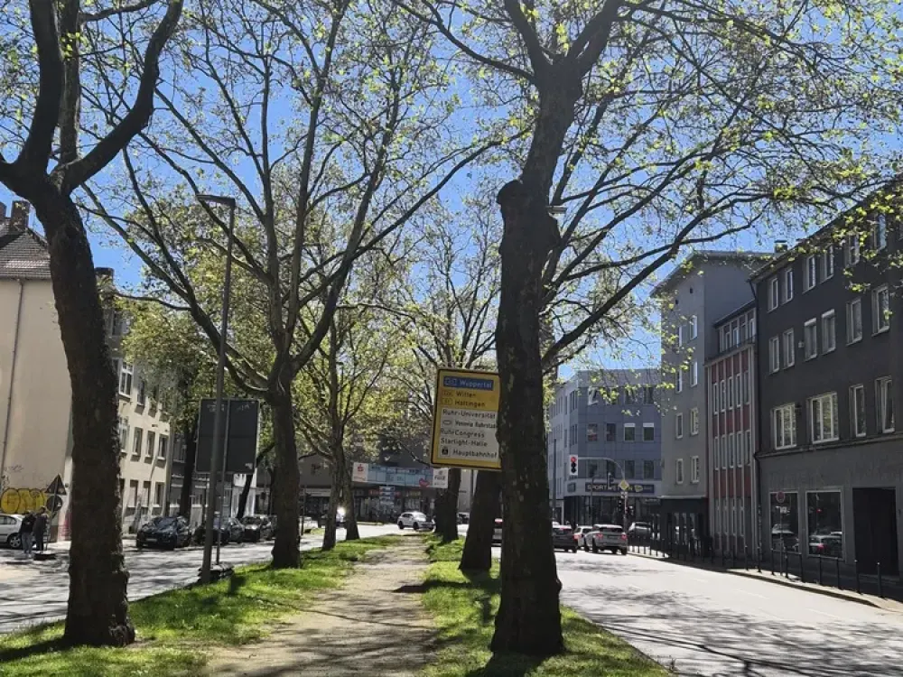 2,5 Zimmer im Herzen der Stadt ! 2er WG geeignet !