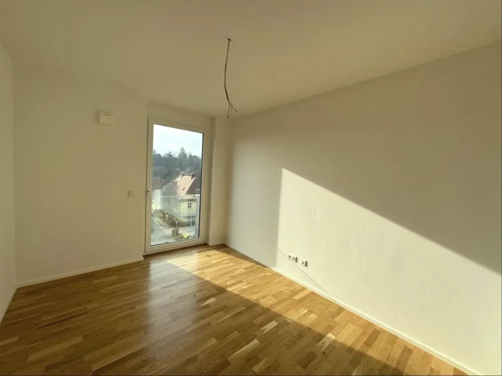 Blick in den Neckarpark