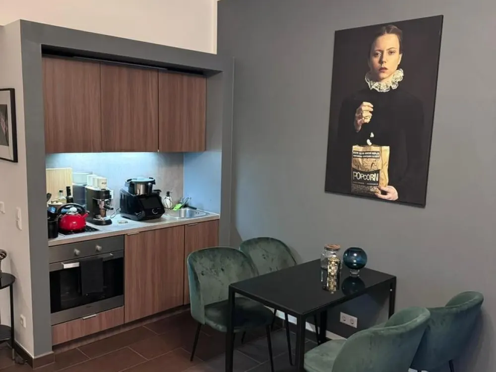 Großes Apartment, Möbiliert, im Zentrum Münchens ab 01.11.26 zu vermieten