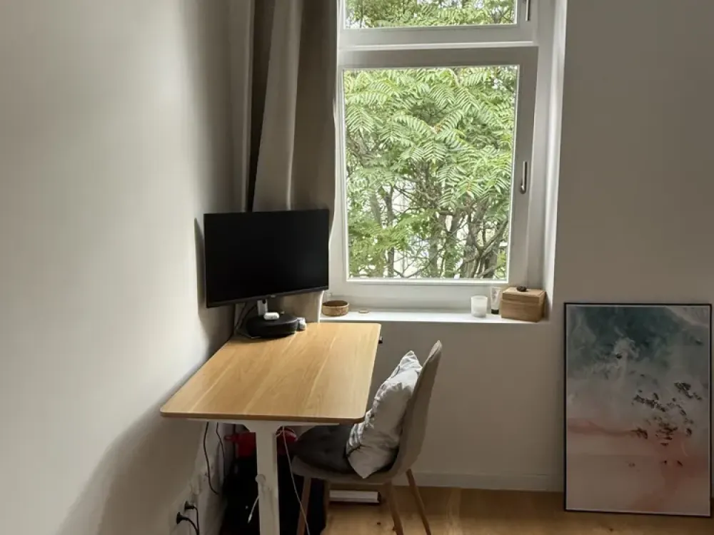 SHORT-TERM SUBLET (2-3 MO) - Sunny, Furnished 2-Room Top-Floor Apartment