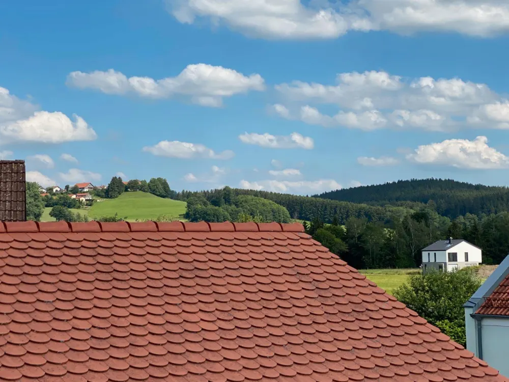 Außergewöhnliche 2 Zi-Dachgeschosswhg. mit riesiger Dachterrasse