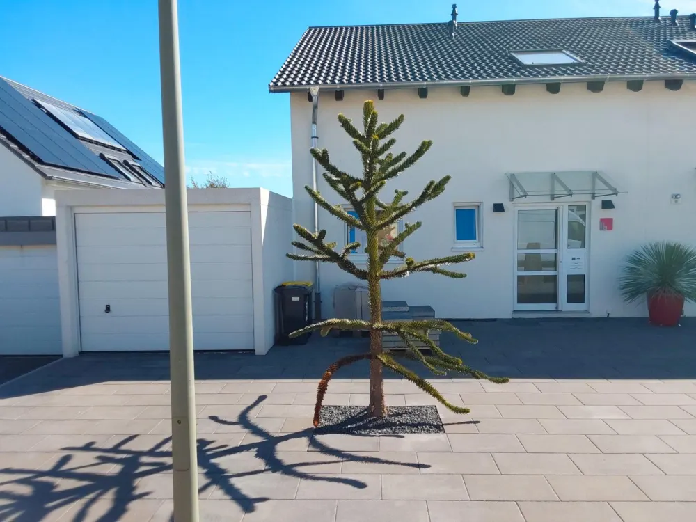 Doppelhaushälfte in ruhiger Lage in Riegelsberg 120 WF ab sofort