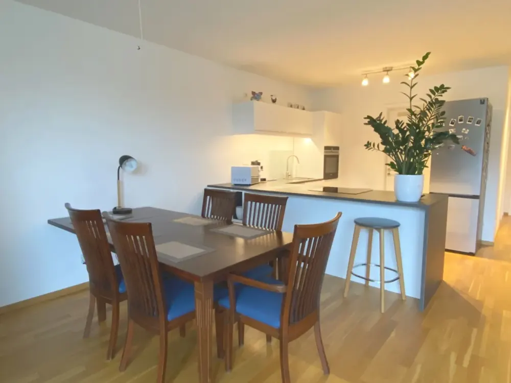 TRAUMHAFTE TERRASSENWOHNUNG - helle & große Wohnung in Düsseldorf Hassels