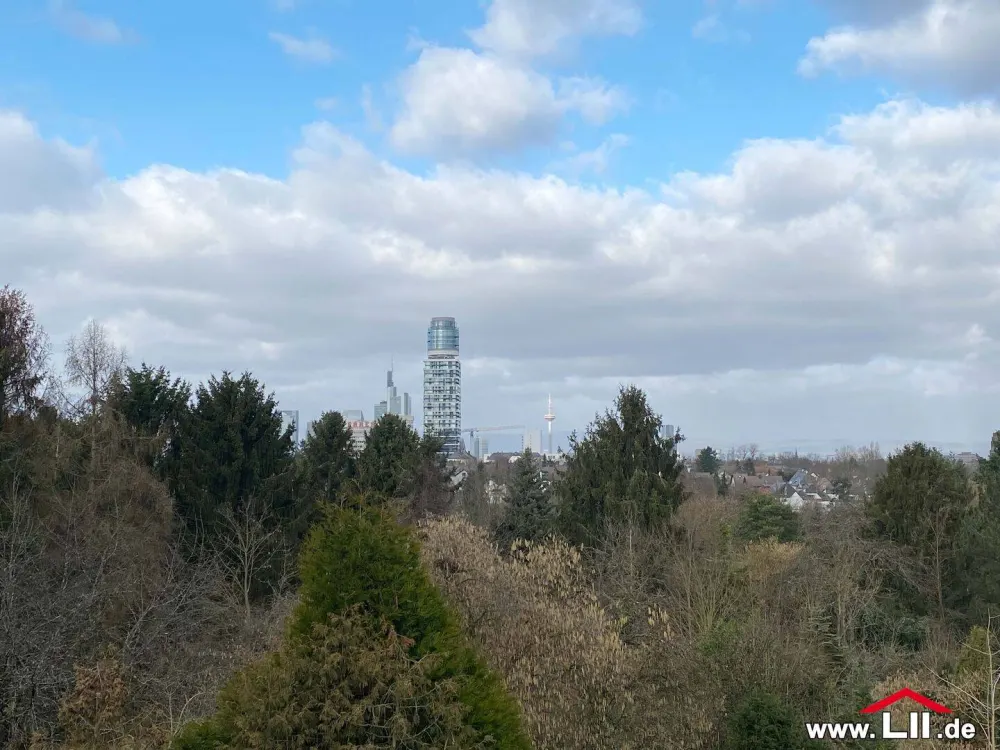 helle Maisonette-Wohnung mit Blick auf den Henninger Turm