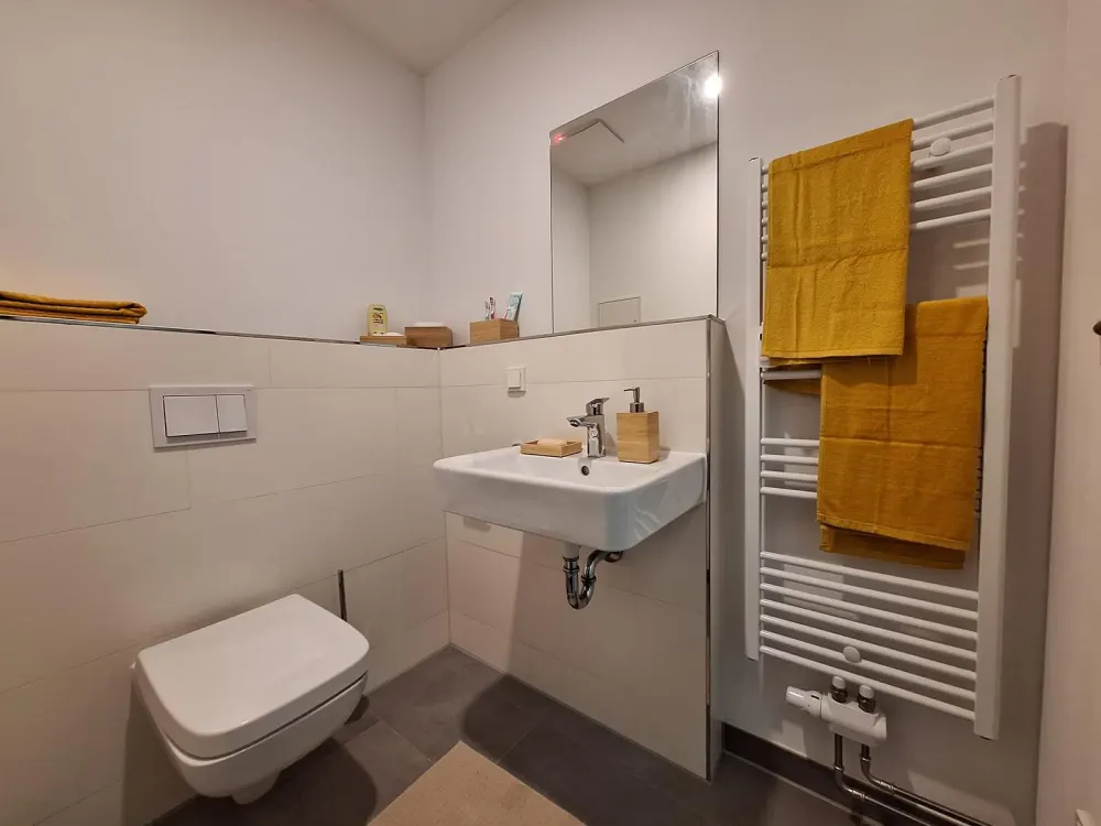 Schönes 1-Raumapartment zur Miete in Leipzig Connewitz -Wentzel Dr. -