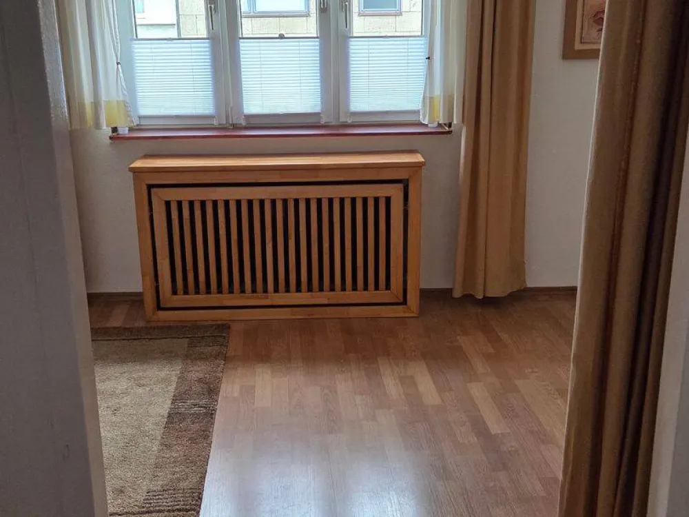 Gemütliche 1 Zimmer Wohnung mit separater Küche
