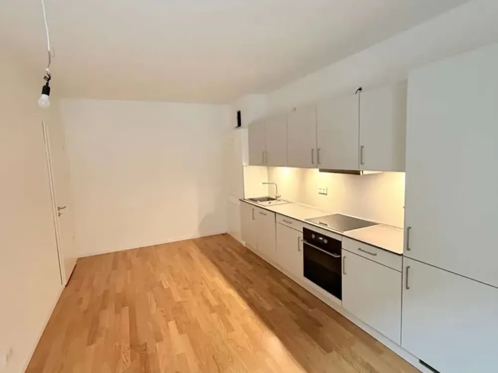 4 Zimmer mit Dachterrasse - Sheddach Höfe