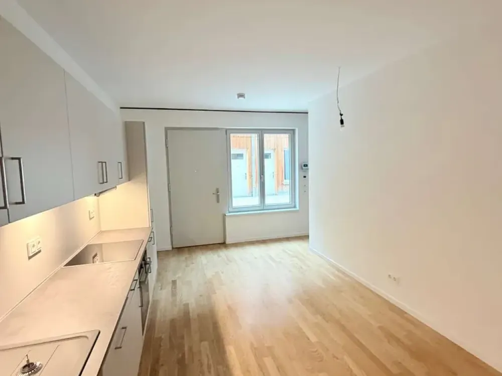 4 Zimmer mit Dachterrasse - Sheddach Höfe
