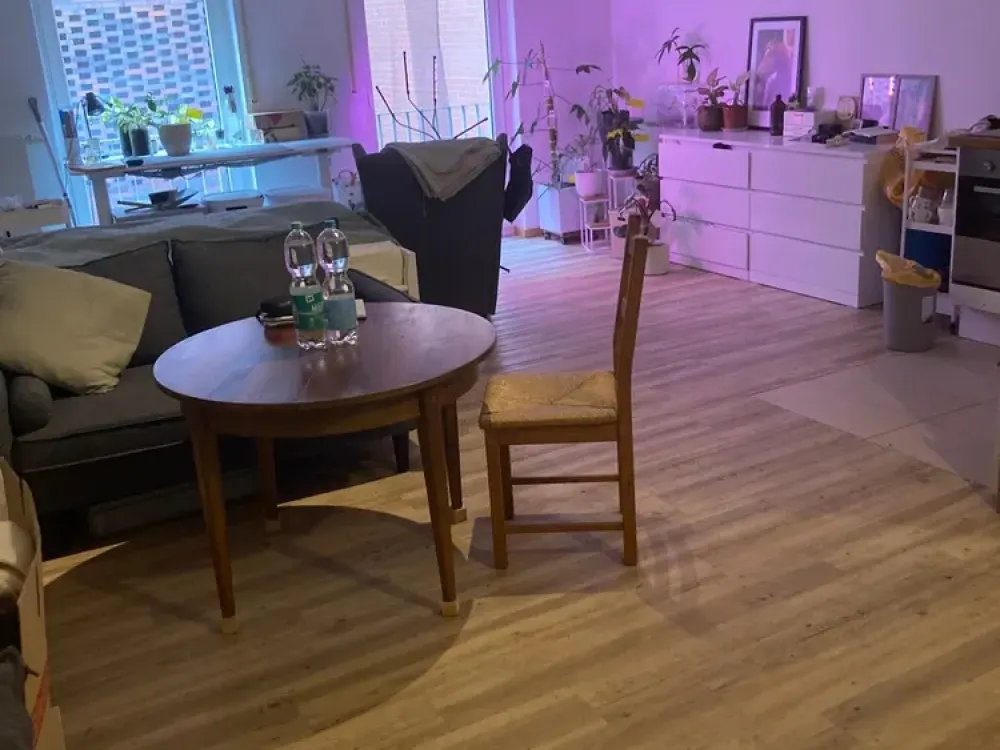 Zuhause mit 37 Quadratmetern im Domviertel