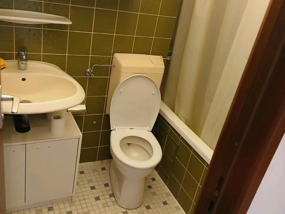 Wohnung zu vermieten