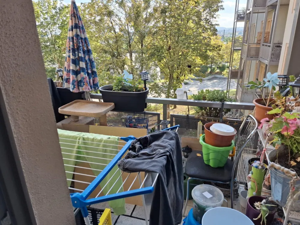 Suche Nachmieter für 4 Raumwohnung in Friedrichstadt