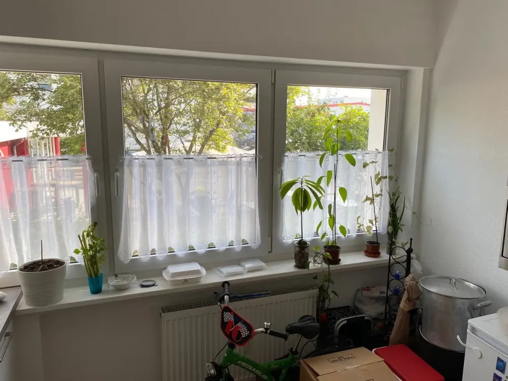 Tolle 2 Zimmer Wohnung in Maintal