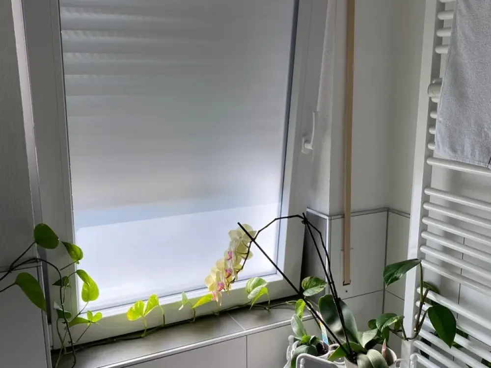Tolle 2 Zimmer Wohnung in Maintal
