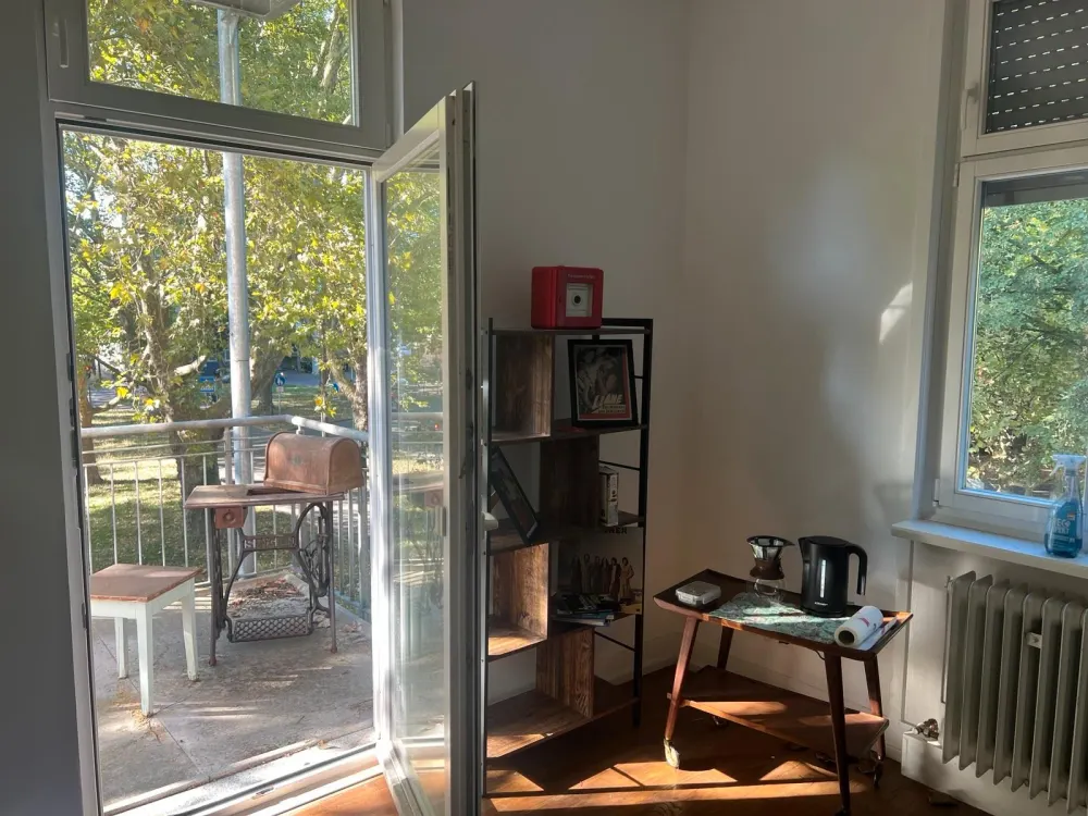 5 Zimmer Altbauwohnung mitten in Esslingen direkt am Schillerpark