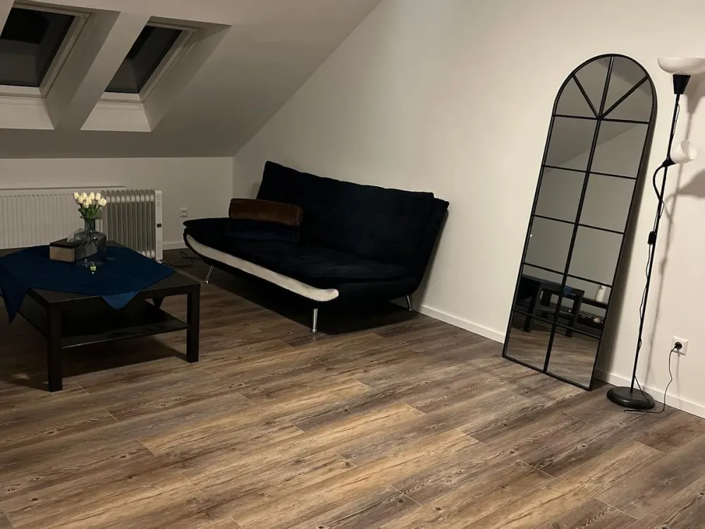 Sanierte 2-Zimmer Dachgeschoss-Wohnung zur Miete
