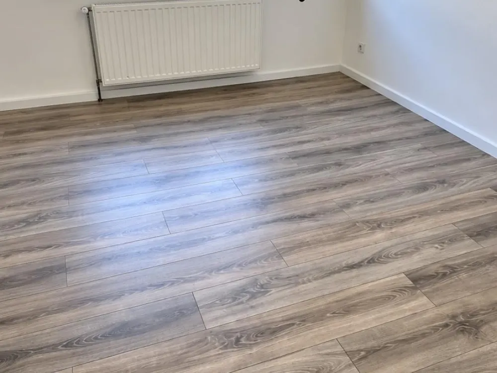 2,5 Zimmer Wohnung zu vermieten