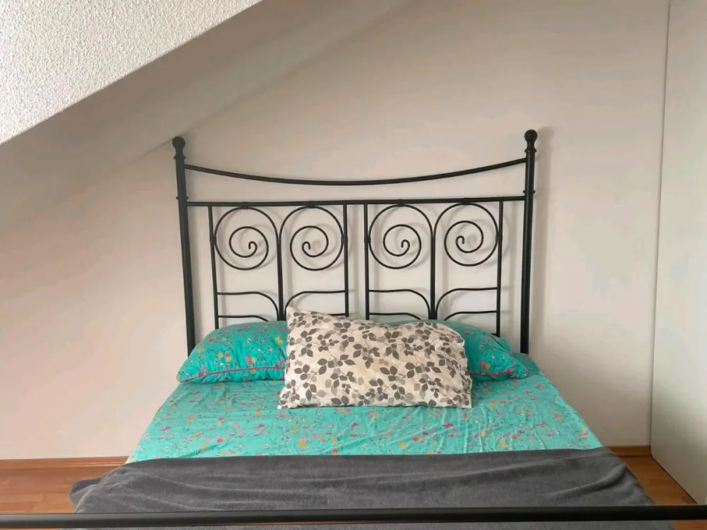 wohnung im neustadt zu vermieten