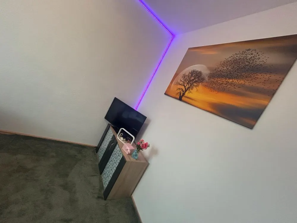 Ich suche eine Mitbewohnerin