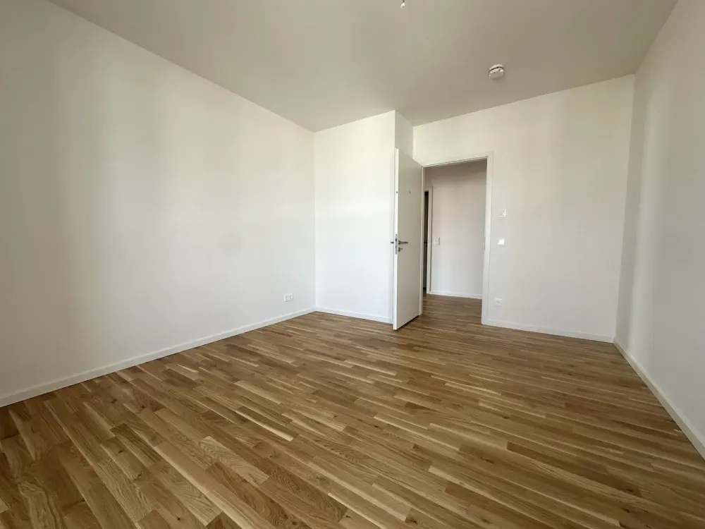 First Occupancy Bright 2-Room Apartment with Terrace in Dresden-Friedrichstadt
