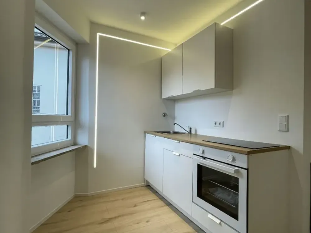 Renovated Partially or Fully Furnished Apartment in the City, 5 Minutes to the Train Station