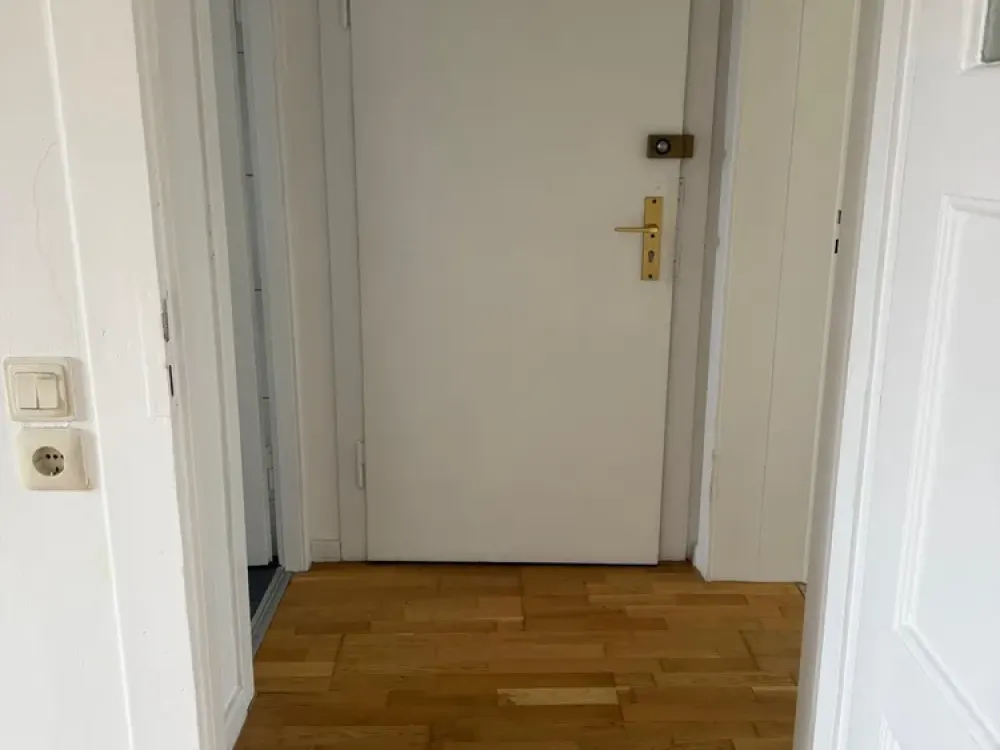 Bright 2-Room Apartment with Built-in Kitchen in Leipzig-Wahren